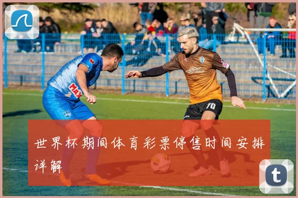 世界杯期间体育彩票停售时间安排详解