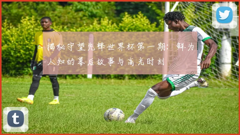 揭秘守望先锋世界杯第一期:鲜为人知的幕后故事与高光时刻