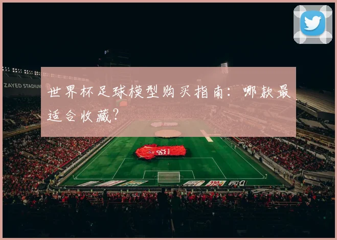 世界杯足球模型购买指南：哪款最适合收藏？